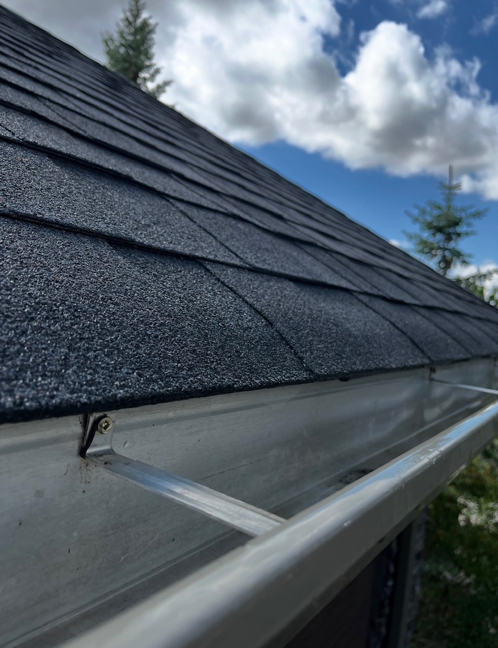 Gutter cleaning service